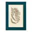 Meggan Sepia Ferns III, reproduction d'art encadrée-1347575824-1347576298