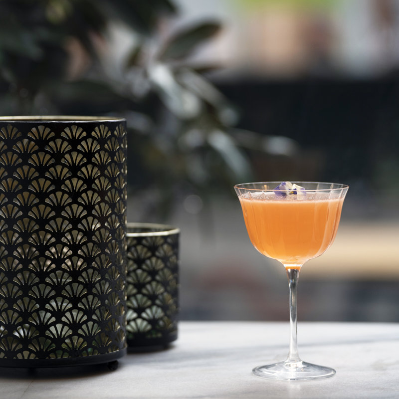 Bach 8.75 oz. Retro Fizz Glasses