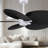 Alessandra - Five Blade Ceiling Fan-880970969-880970973