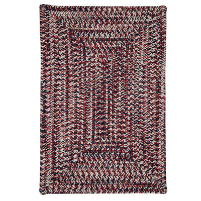 Tabb Indoor / Outdoor Reversible Area Rug - Patriotic