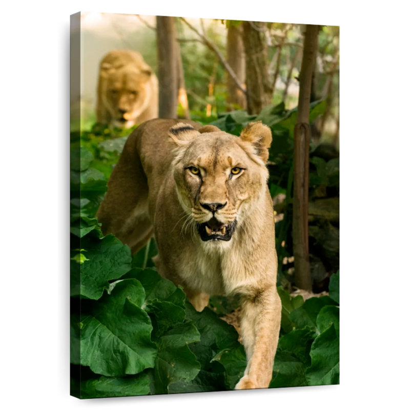 Brampt Hunting Lioness, 24" H x 16" W