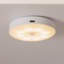 Standush Plastic LED Flush Mounted Sconce