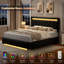 LED Bed Frame with Adjustable Headboard and 4 Drawer, Button Tufted Upholstered Platform Beds-656491957-656491963