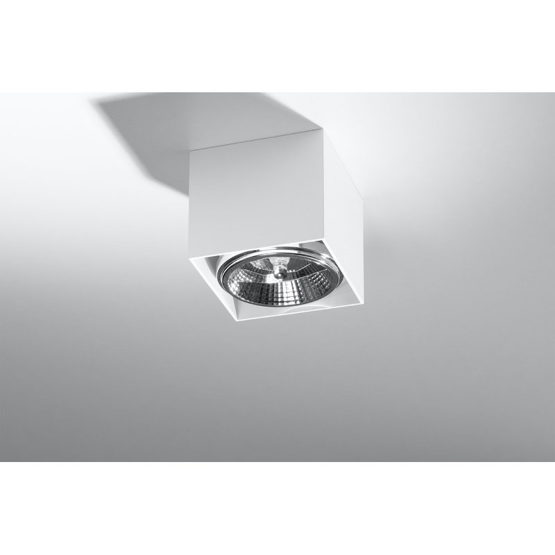 Flush Mount, White