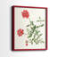 «Flowers of the Seasons», impression encadrée de qualité supérieure - prête à être accrochée - aucun clou requis - aucun clou requis-1906186487-1906186493