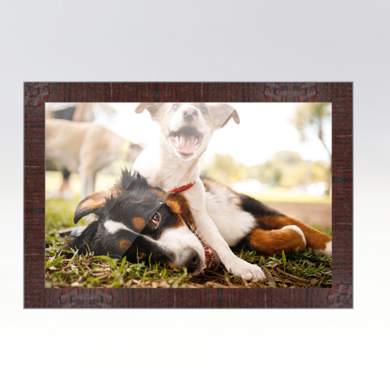 Kylicia Brown Solid Wood Picture Frame, 12" W x 32" H