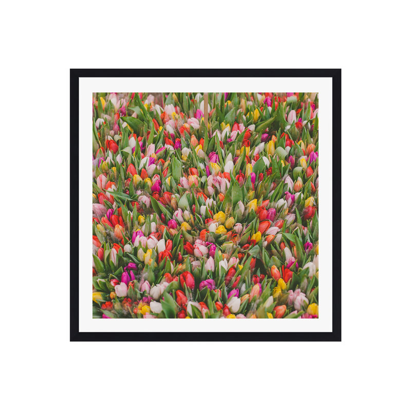«Thyrome Rainbow Tulips», reproduction encadrée sur toile par Hello Twiggs, Cadre flottant noir, Non