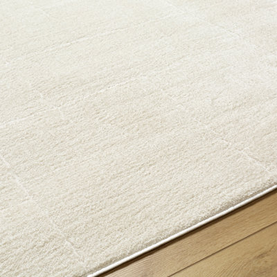 Caireann Indoor Rug