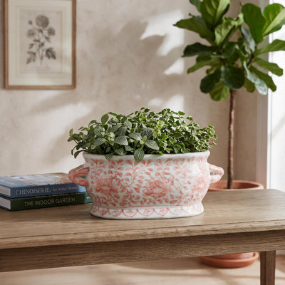 Jardinière ovale en porcelaine pivoine rose pour bain de pieds