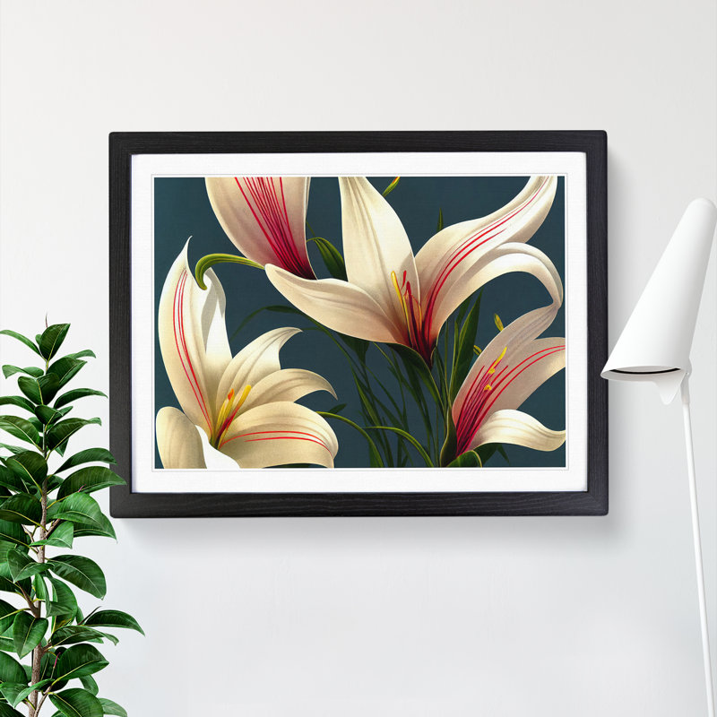 Bold Lily Flowers - Framed Print, Black Framed, 46cm H x 64cm W x 2cm D