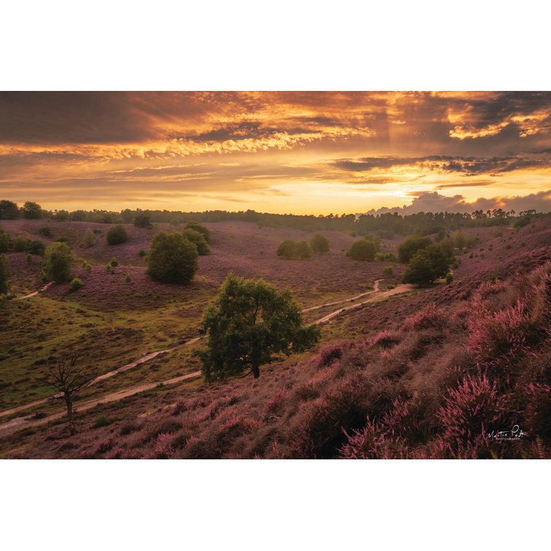 Juste un coucher de soleil aux Pays-Bas, H 8 po x l 12 po, Non, Toile tendue
