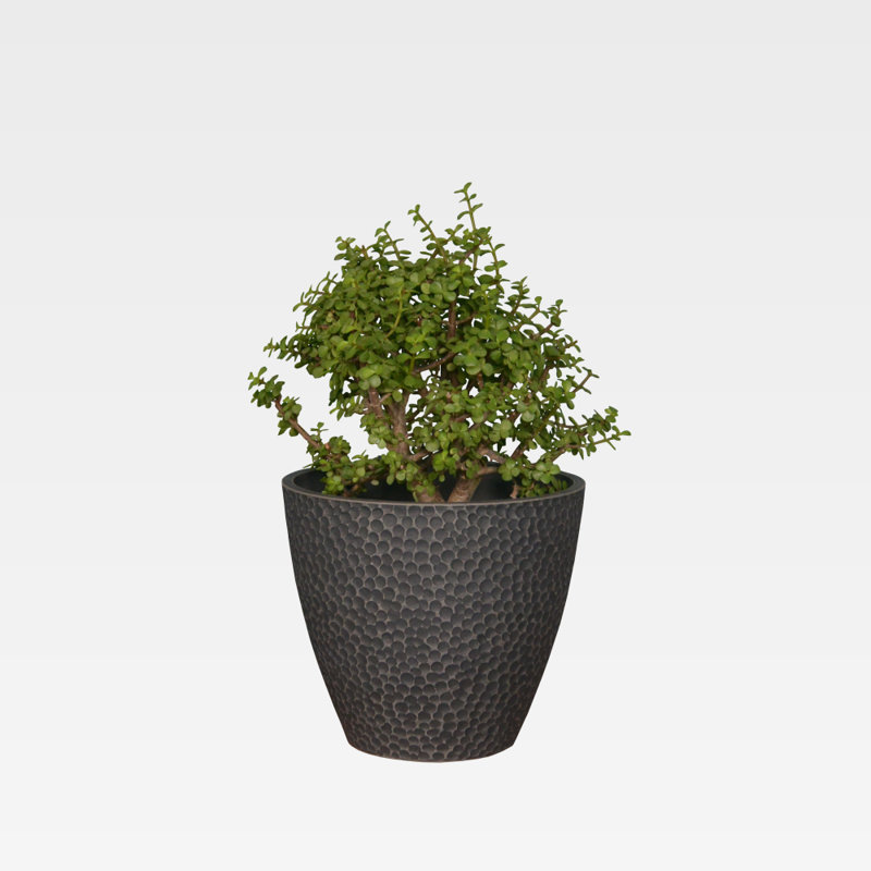 Pot à fleurs en plastique