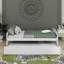 Lit plateforme simple avec lit gigogne-2021230743
