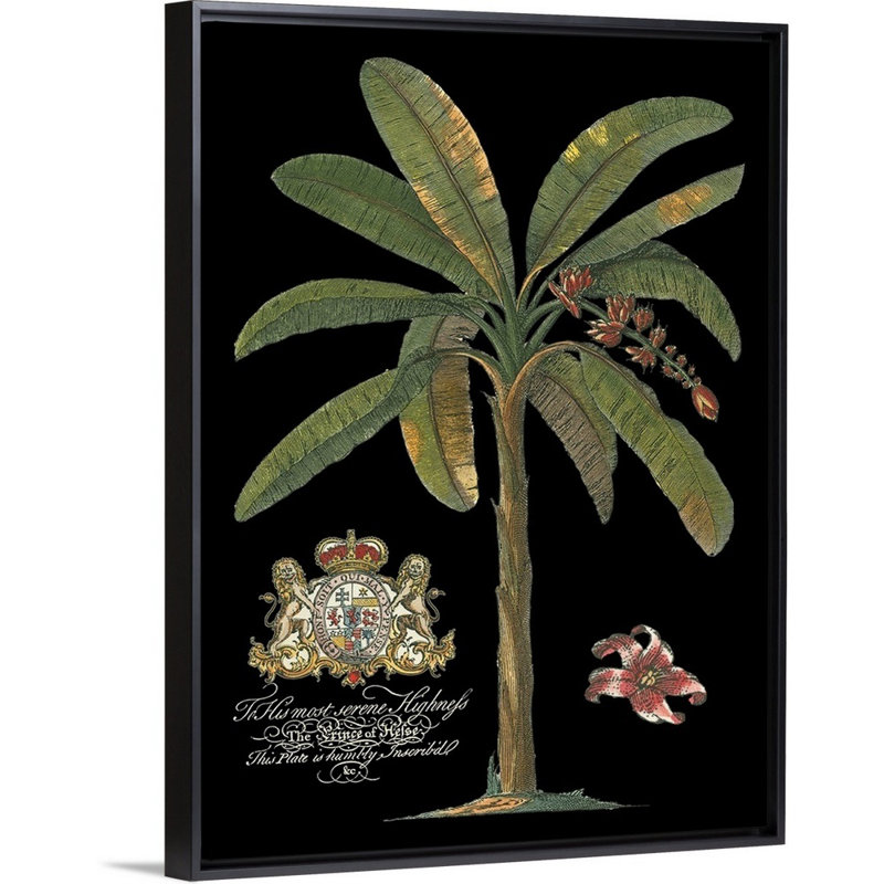 Palmier sur toile II noir, art mural, H 40 po x l 30 po x P 1,75 po, Toile avec cadre noir