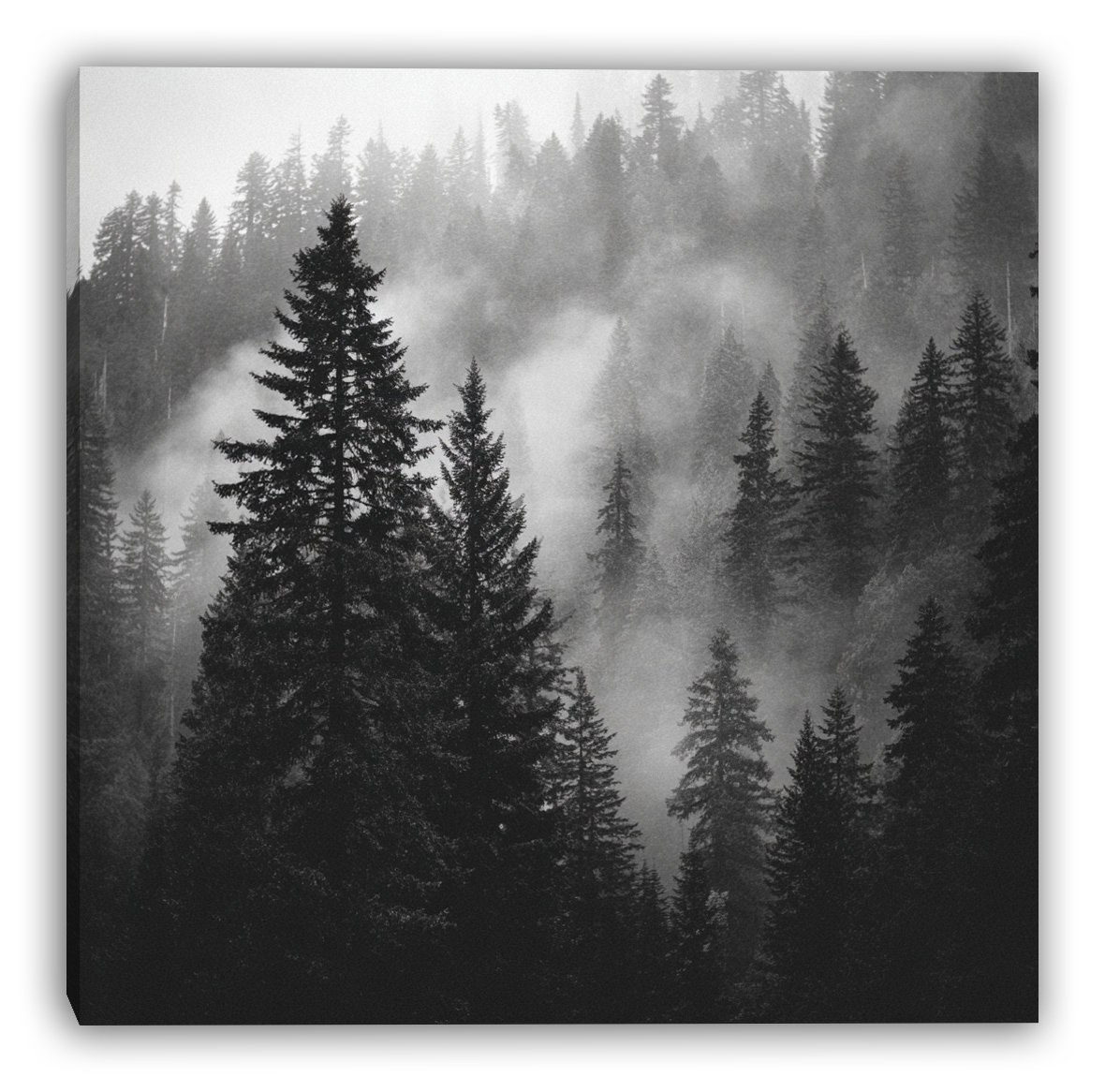 Union Rustic Valley Mist Wrapped Canvas Wall Art | Wayfair
