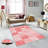 Elegant 3D Printed Area Rug, 4.6 x 7.2 ft | 100% Polyester, 0.31 in Pile Height, Antibacterial | Non-Slip PVC Felt Dot Underside, Machine Washable, Perfect for Living Room or Bedroom, Durable & Stylish Design-1751359556