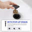 Single Handle High Arc Bathroom Sink Faucet with Pull Out Sprayer and Pop Up Drain-108831373
