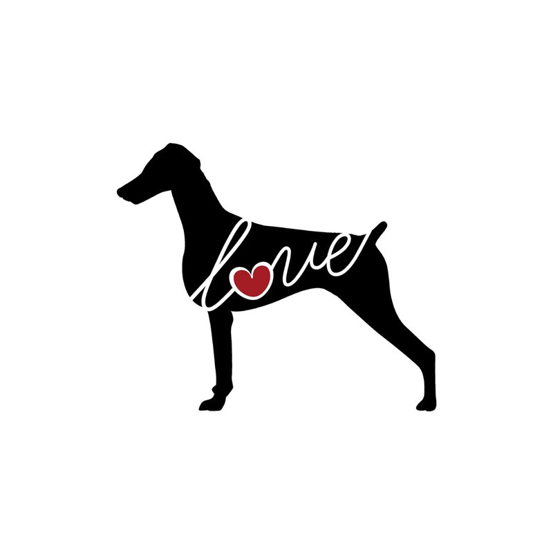 Doberman Undocked by Traci Anderson - Wrapped Canvas Gallery-Wrapped Canvas Giclée, 20.32 cm H x 30.48 cm W