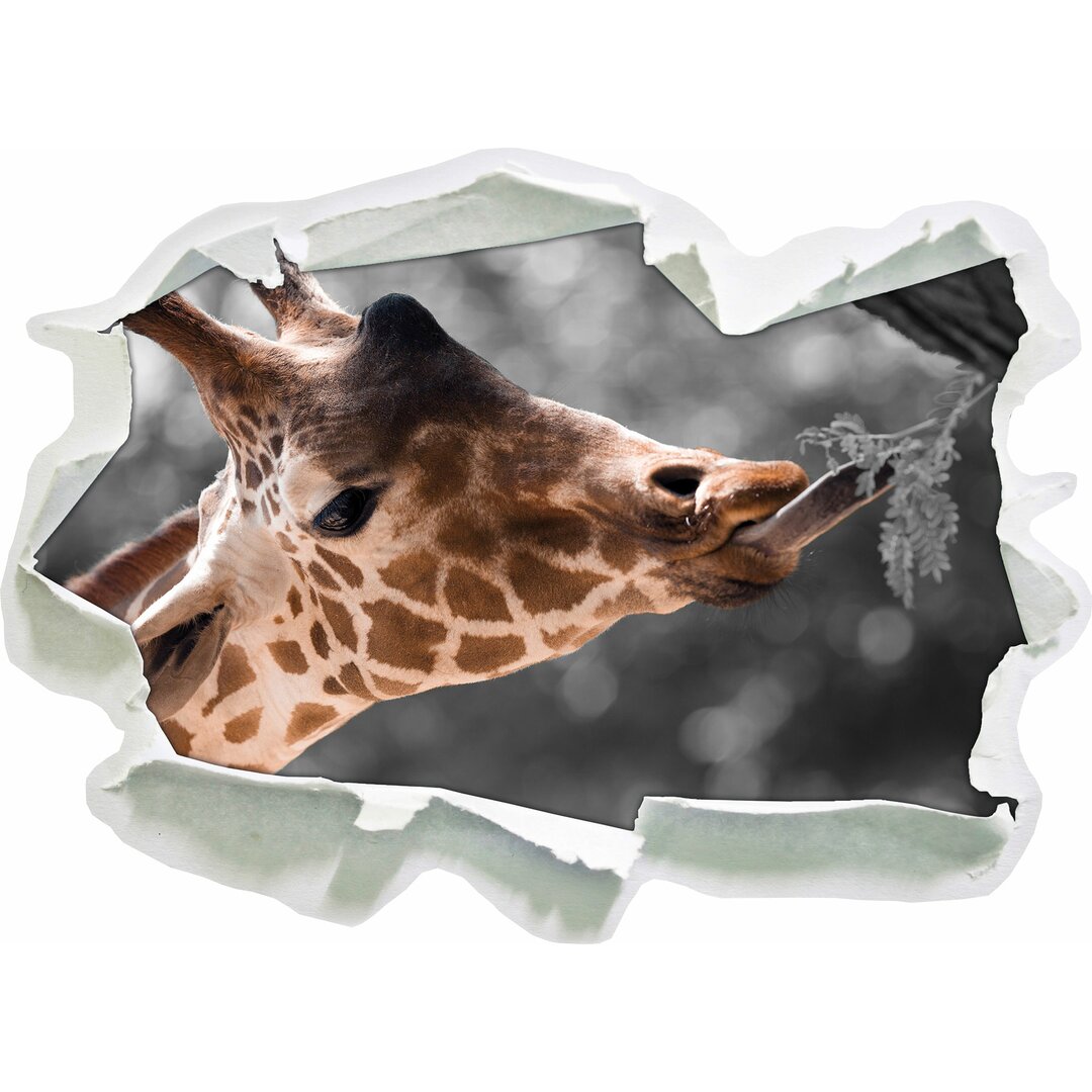 Hungrige Giraffe mit Zweig Wandaufkleber