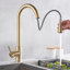 Fairmont Park Nerbone Pull Out Kitchen Faucet