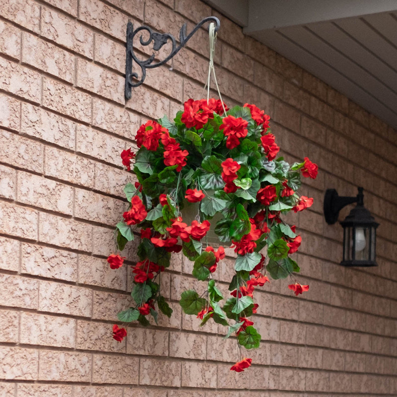 Geranium floral dans un panier, Rouge