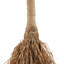 Grenola Push Brooms