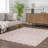 Carnegia Moroccan Pink/Beige Area Rug-1629301327