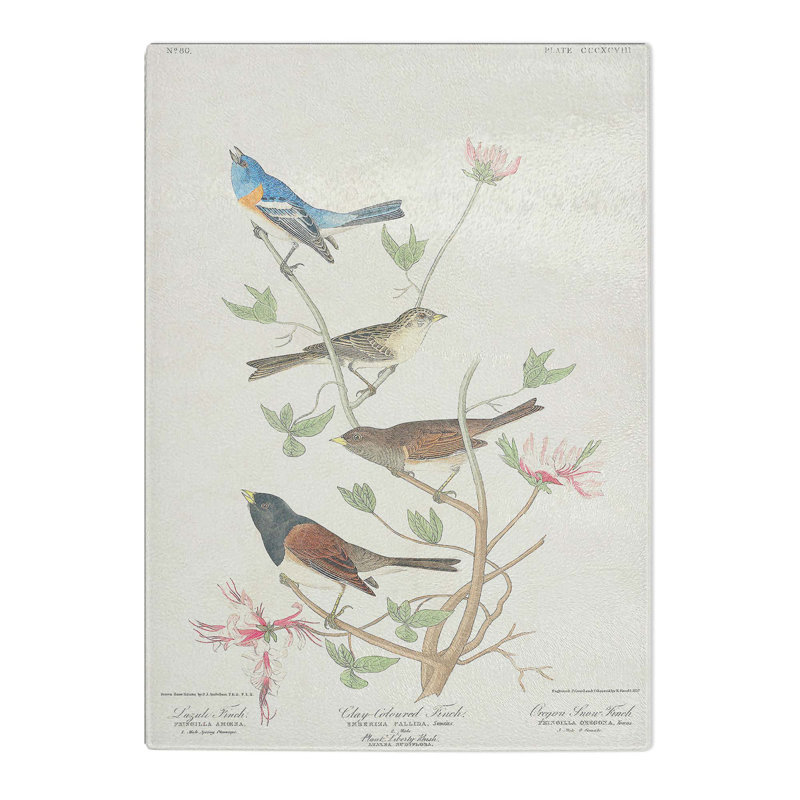 Tempered Glass a Collection of Finch Birds Chopping Board, 28.5 cm W x 39 cm L