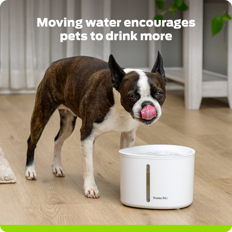 Premier Pet 110 oz Pet Fountain, 110 Oz