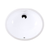 Euro 19.5'' L Bathroom Sink