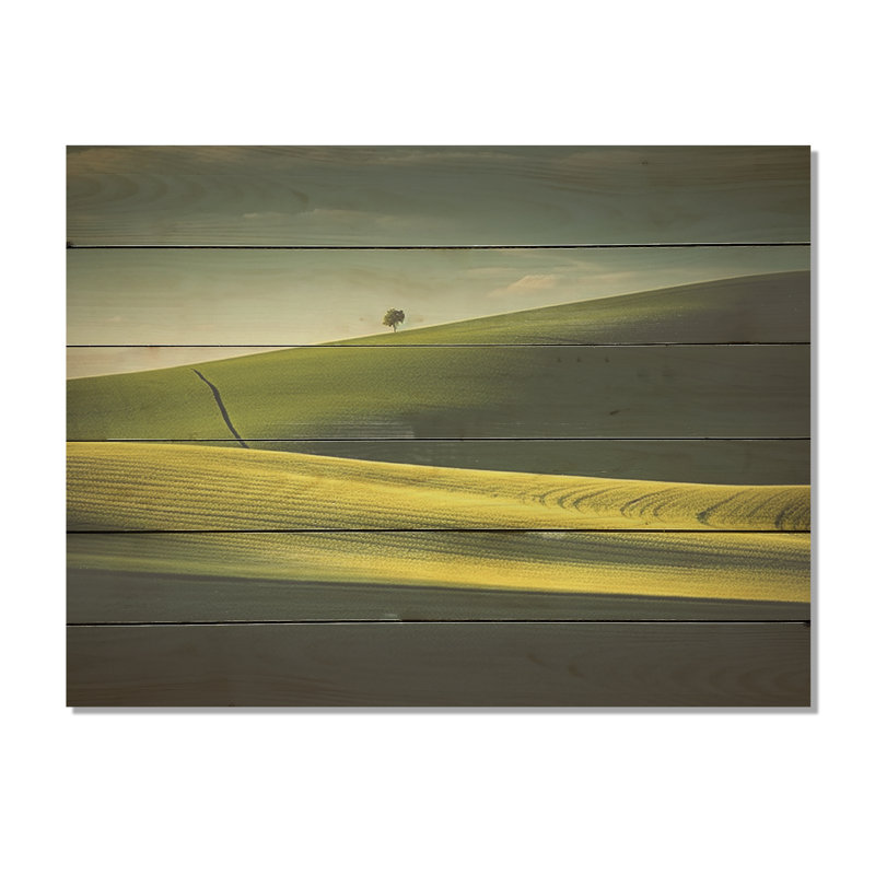 Photo de prairie verte et verte - Art sur bois de pin naturel, H 10 po x l 20 po
