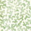 Coralcoast-1002812164
