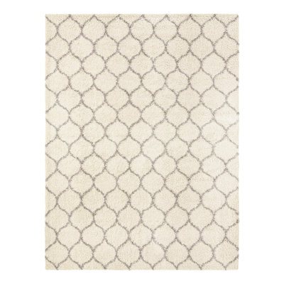 Geometric Indoor Rug