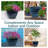 Berlina Round Imperial Ceramic Outdoor Planter