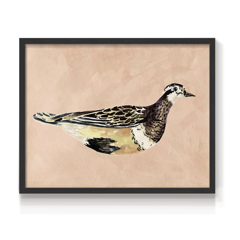 «Feathered Friend IV», reproduction encadrée, H 22 po x l 28 po, Noir, noir, noir, noir