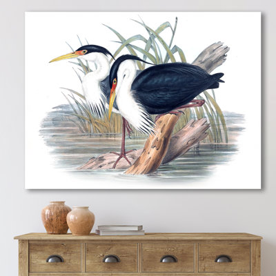 " Vintage Bird Life II " Painting Print