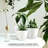 Plant Pots Indoor With Drainage - 7/6.6/6/5.3/4.8 Inches Flower Pots For Indoor Planter - 5 Pack Plastic Planters - Ideal For Stocking Stuffers Or Home Christmas Decorations-1413936357