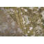 Ikat Area Rug in Gold/Gray