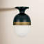 Capsule 1-Light Outdoor Semi Flush Mount