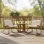Ensemble de conversation en rotin PE avec coussins et plateau de table en bois d'acacia Carolyn