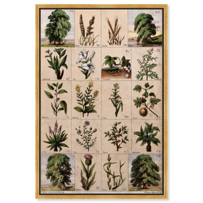 Art Remedy, affiches sur toile, vingt arbres, herbes et arbustes de la Bible