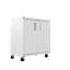 Armoire de rangement en métal avec tablettes réglables Fortress H 31,5 po x l 30 po x P 18,2 po-197101285