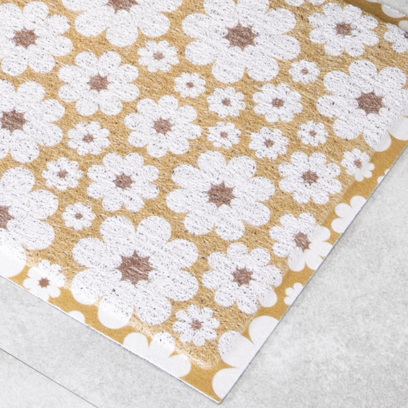 Kilwin Non-Slip Indoor Doormat