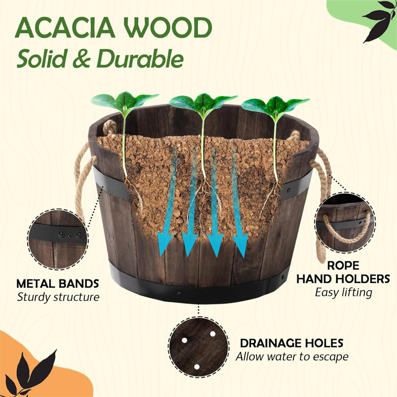 Sandhu Wood Planter Box, Walnut
