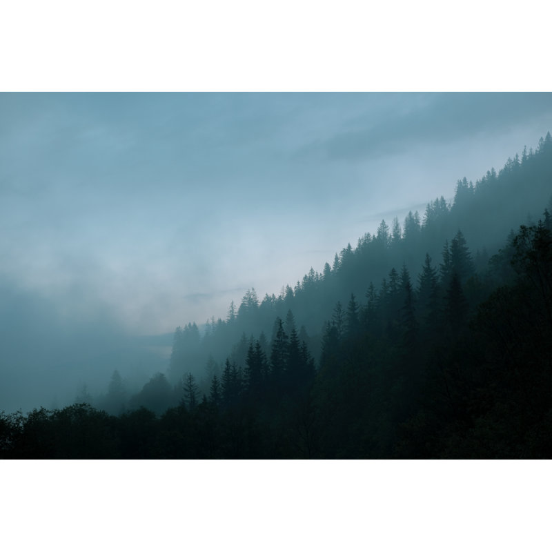 Misty Forest - Wrapped Canvas Print, 61cm H x 91cm W x 3.8cm D