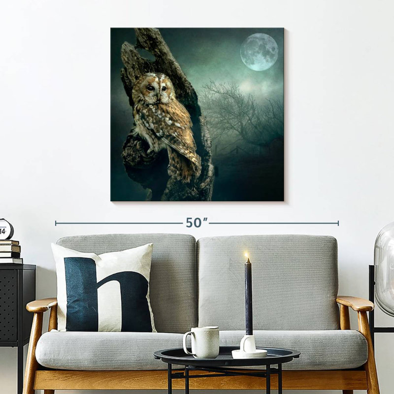 Brampt Owl At Night