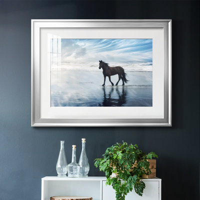 " Horse Motion VI "