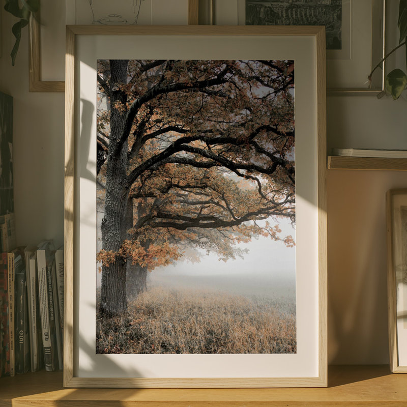 Wrapped Canvas Print, 76.2 cm H x 50.8 cm W