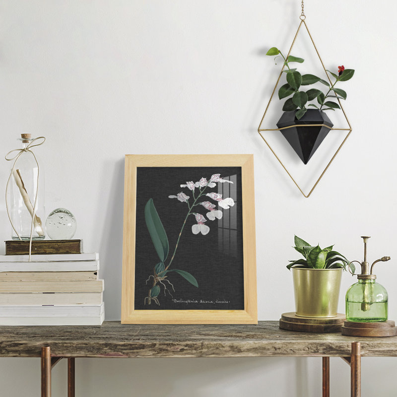 Orchidée sur ardoise VI - impression d'un seul cadre photo, H 11 po x l 9 po x P 1 po, Naturel