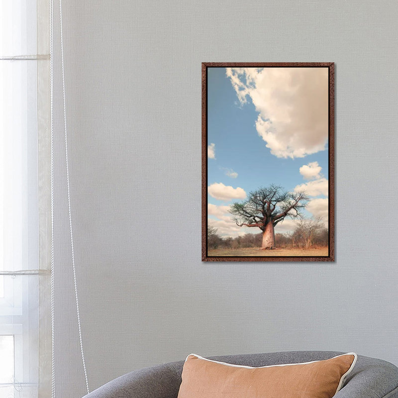 Naye Naye Baobab I by Klaus Tiedge - Print on Canvas, 66.04 cm H x 45.72 cm W, Classic Brown Wood Framed